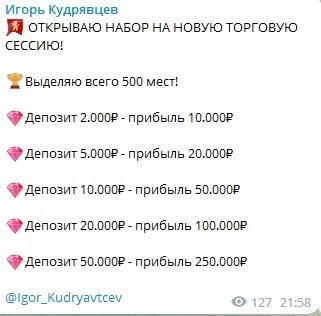 Игорь Кудрявцев прибыль