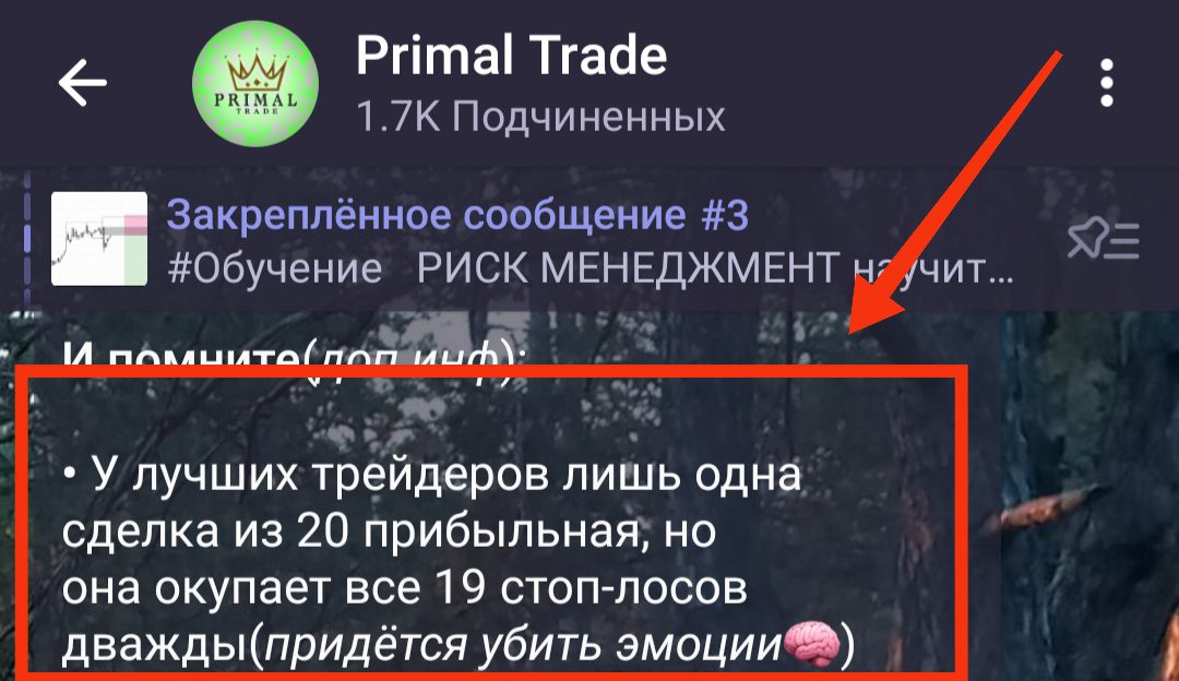 Primal Trade telegram