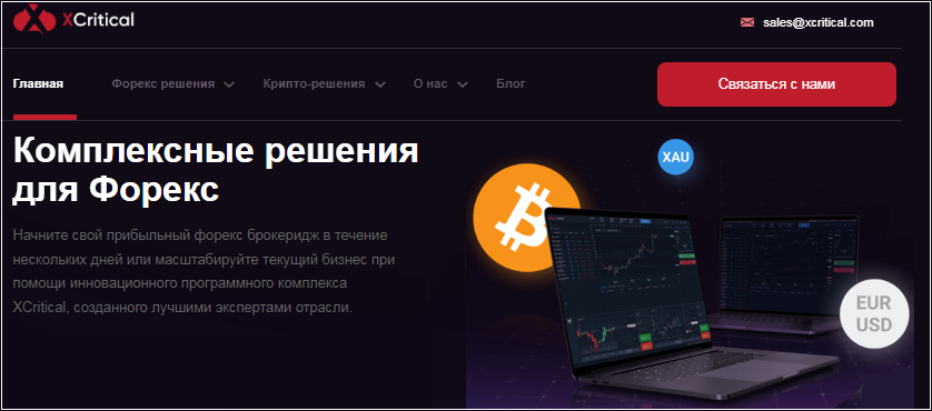 XCritical black главная