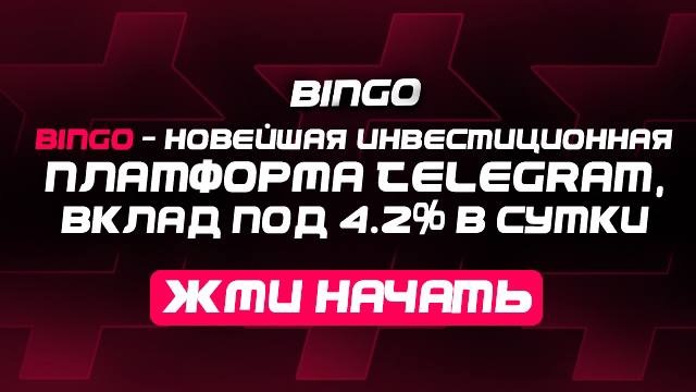 Рекламный баннер Bingo Робот