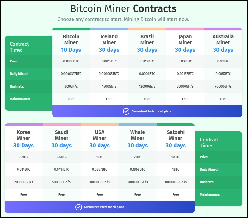 Контракт на майнинг от Whales Mining