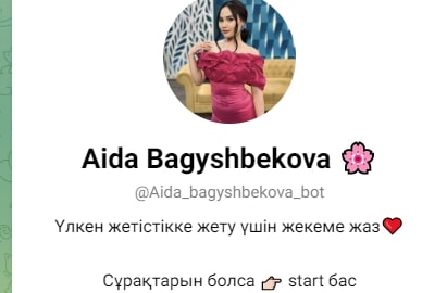 Aida bagyshbekova bot телеграм