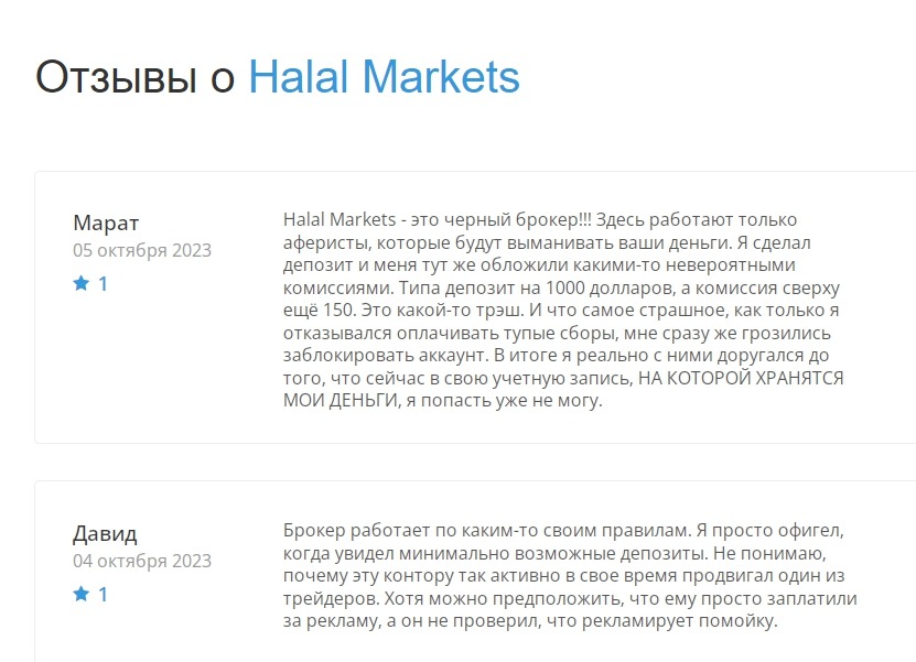 Отзывы о проекте Halal markets group