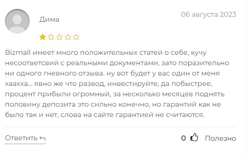 Отзывы о проекте Бизмолл