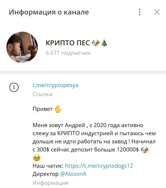 Крипто Пес телеграм