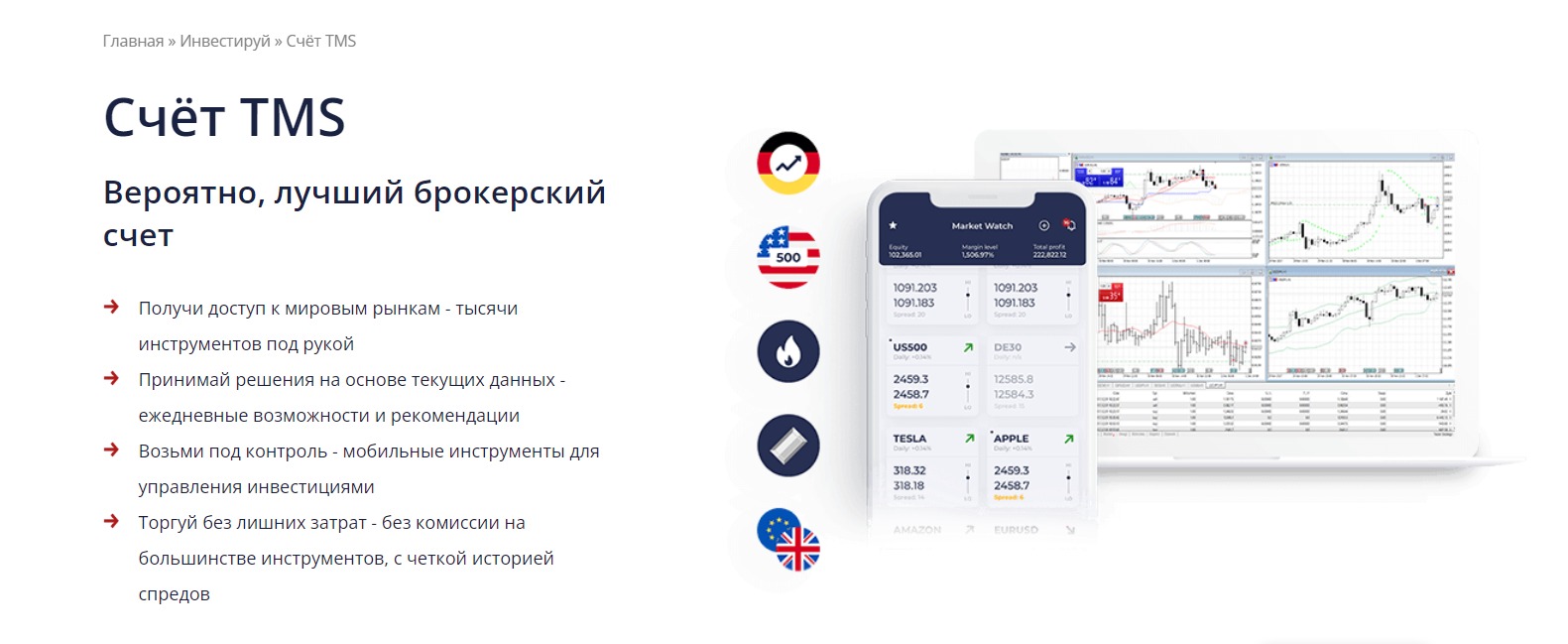 Проект TMS Pl