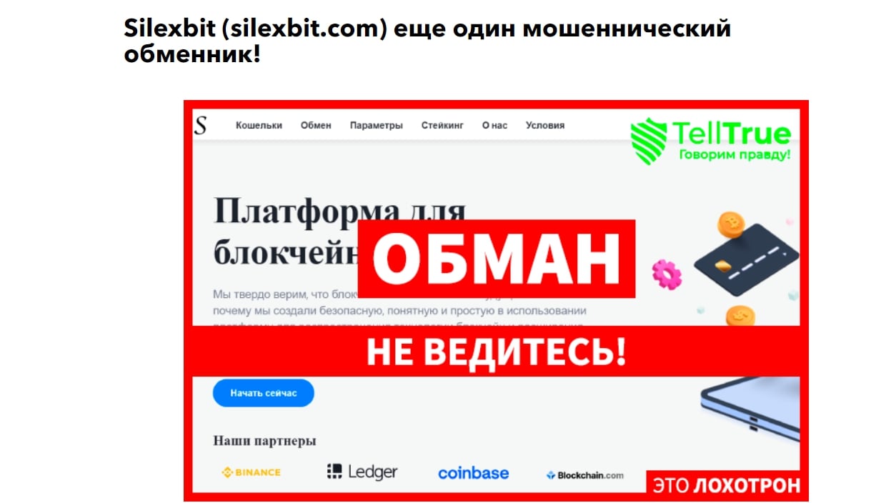 Silexbit рецензия